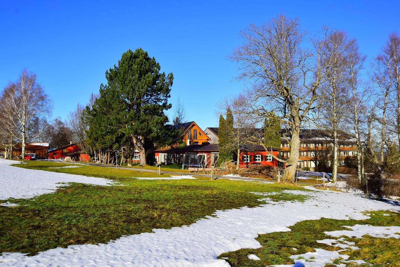 Seinz Wisdom Resort - Bio-Hotel Vegan-Vegetarisch Bad Kohlgrub Exteriör bild